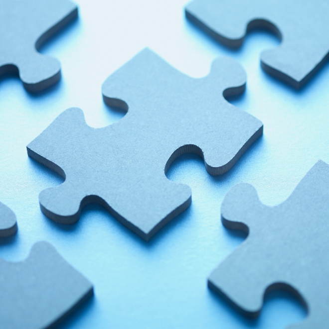 Jigsaw puzzle pieces, indicating the complex nature of management development training